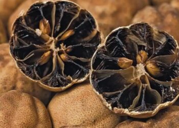 طرز تهیه لیمو عمانی در منزل