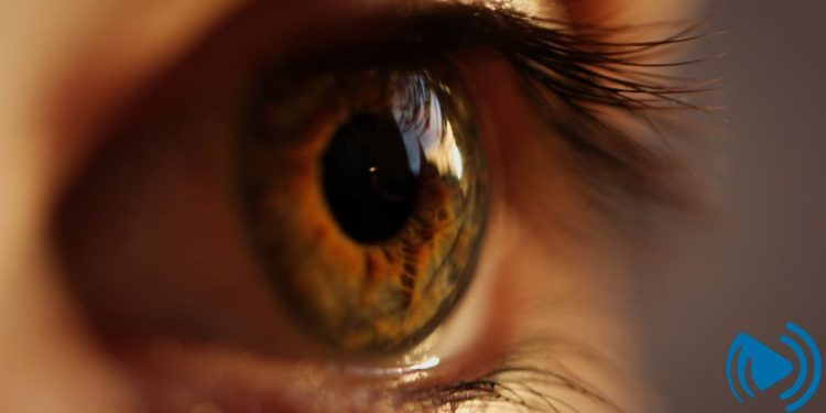 چشم انسان چند مگاپیکسل است