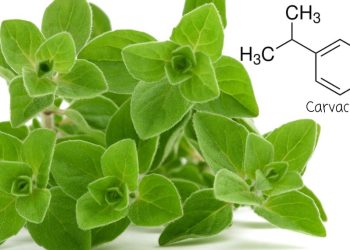 کارواکرول چیست