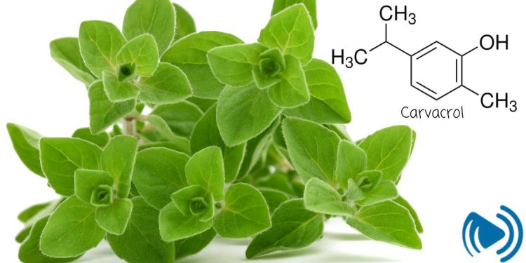 کارواکرول چیست